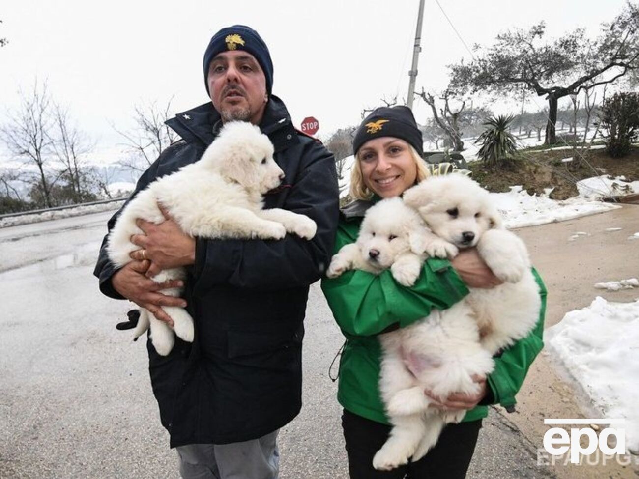Щенки прятались в котельной