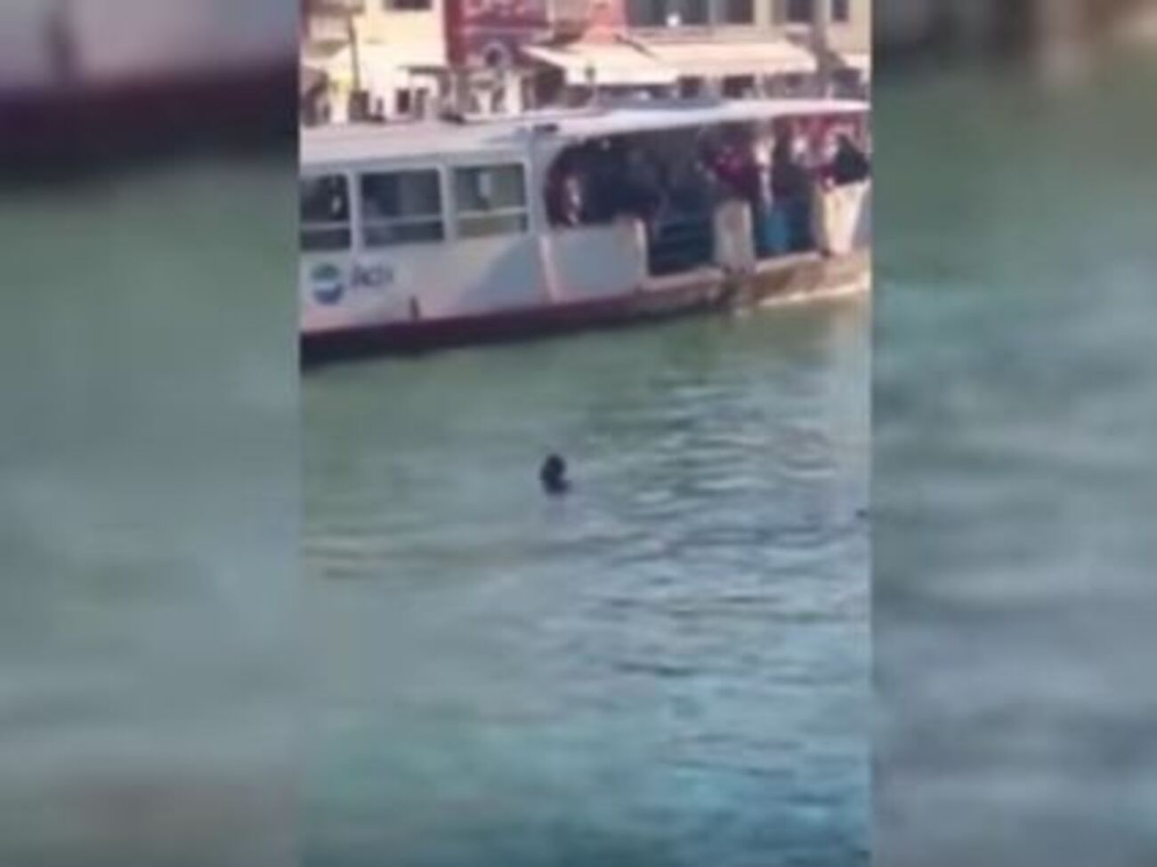 В Венеции на глазах у туристов утонул мигрант