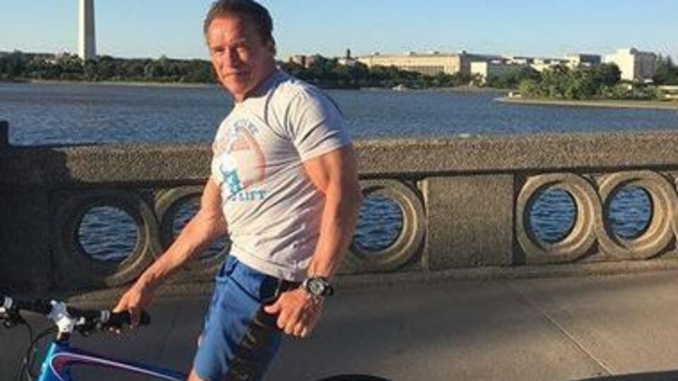 Шварценеггер: Папа – не только замечательный лидер католической церкви, он является фантастическим проводником для всех божьих созданий
