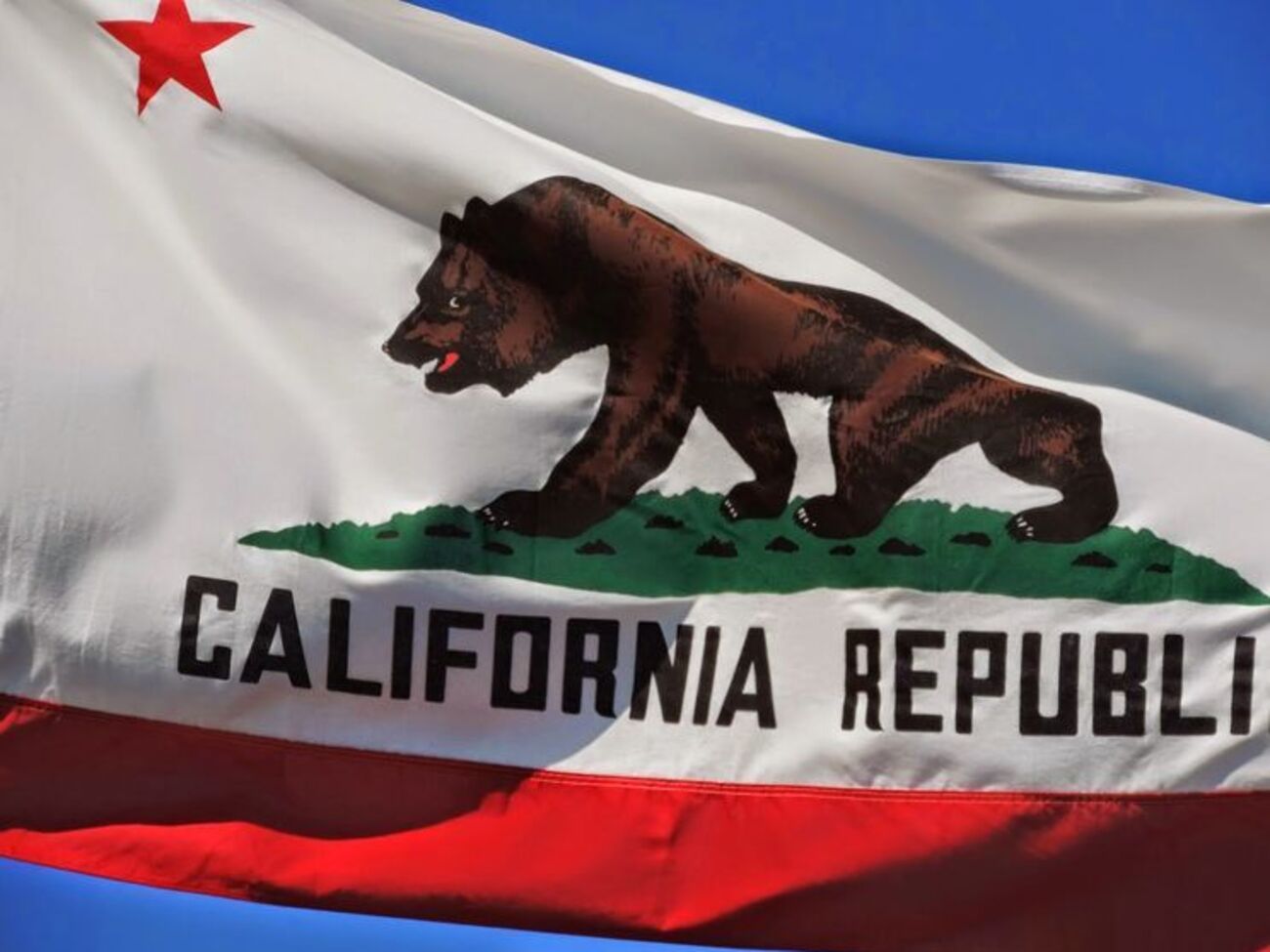 Инициаторами отделения штата от США выступают члены движения Yes California