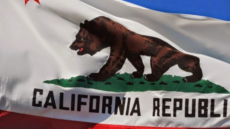 Инициаторами отделения штата от США выступают члены движения Yes California