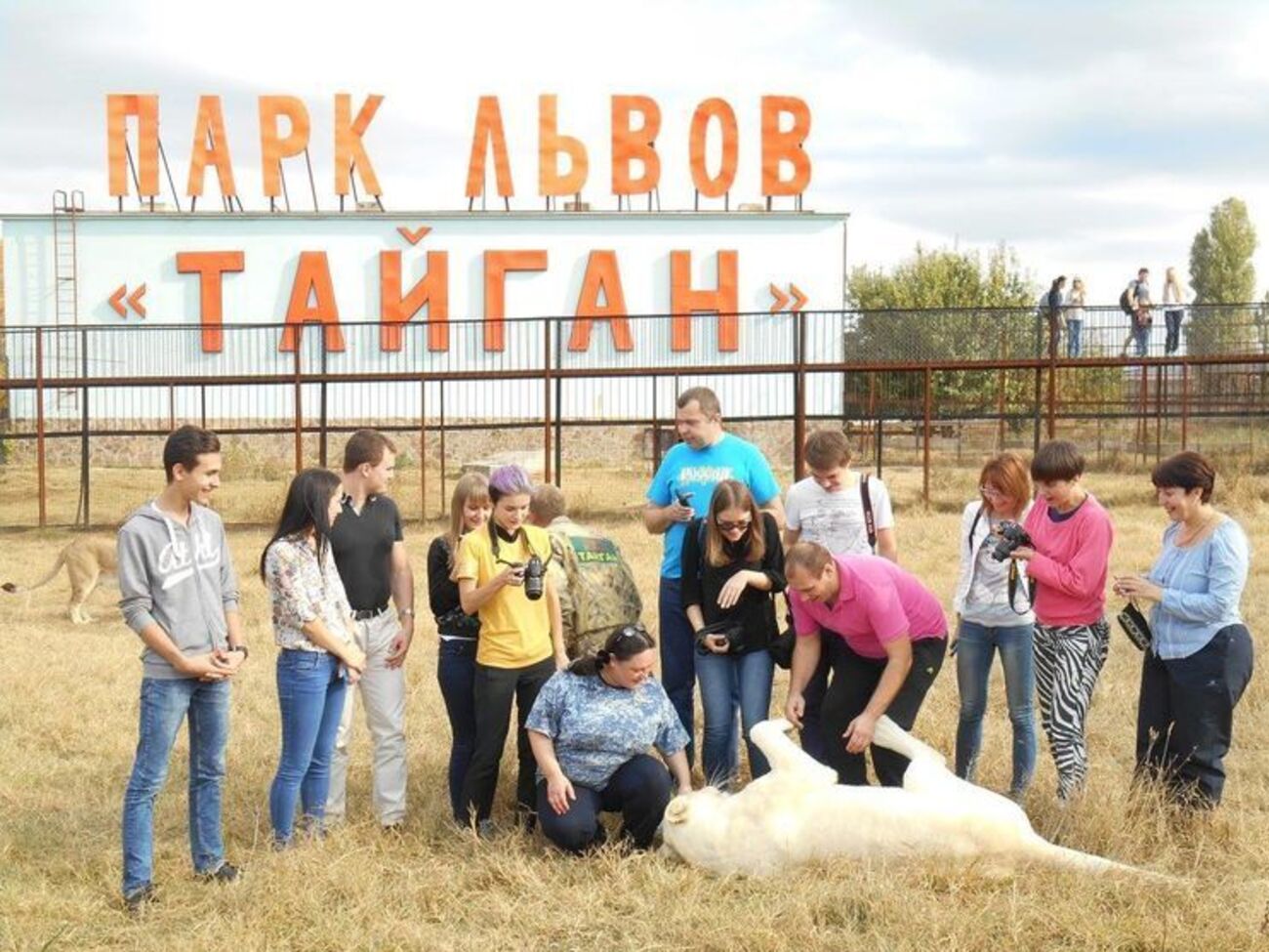 В парке львов "Тайган" прошли обыски по делу о смерти волонтера