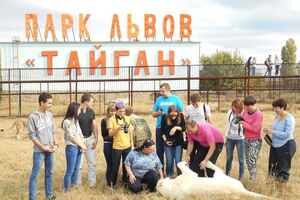 В парке львов "Тайган" прошли обыски по делу о смерти волонтера