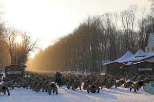 Флешмоб прошел 29 января на центральной аллее харьковского парка имени Горького