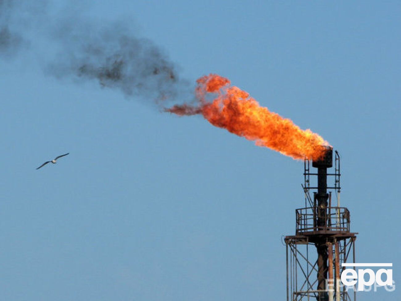 Нефть дорожает на первых в 2017 году торгах