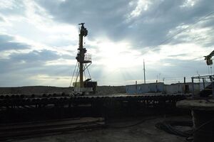 Газ, добытый компанией Онищенко, будет продавать "Укргазвидобування"
