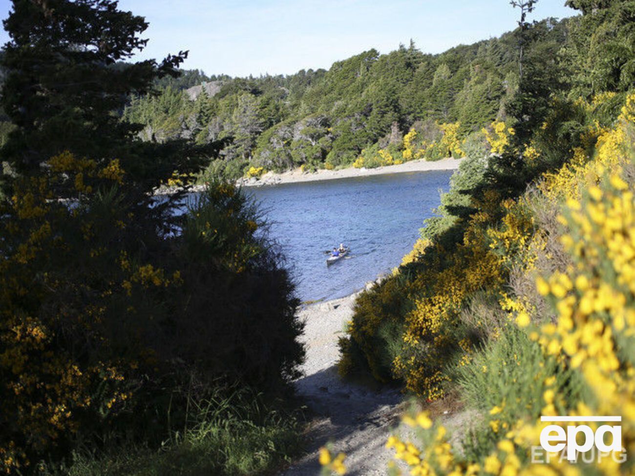 Окаменевший плод нашли в Патагонии