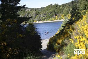 Окаменевший плод нашли в Патагонии