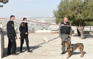 Силы безопасности Израиля провели облаву по месту жительства террориста