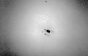 Чилийские военные опубликовали видео с НЛО