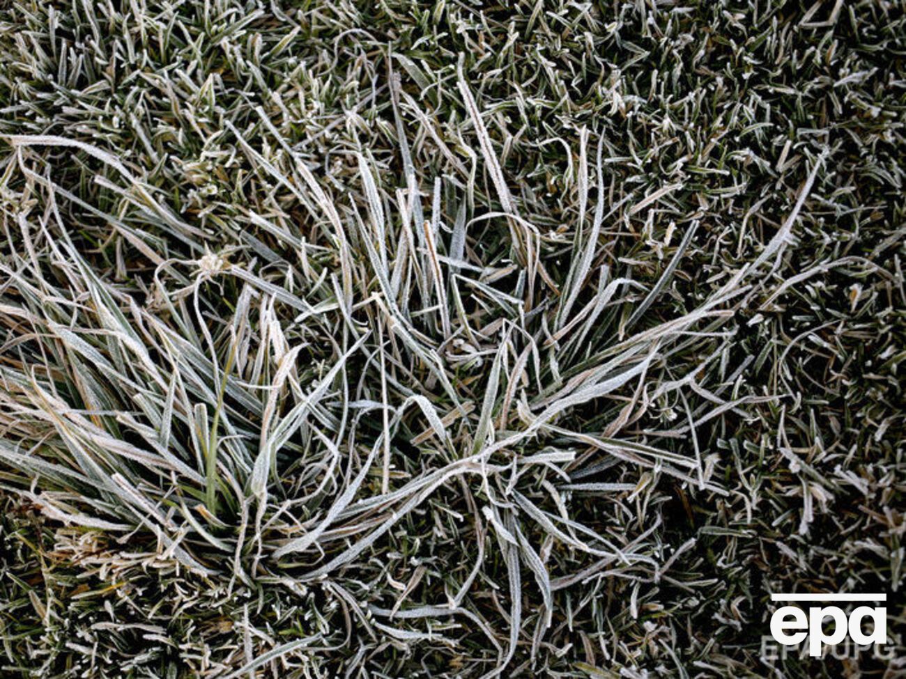 В Украину придут заморозки