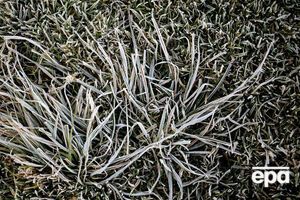 В Украину придут заморозки