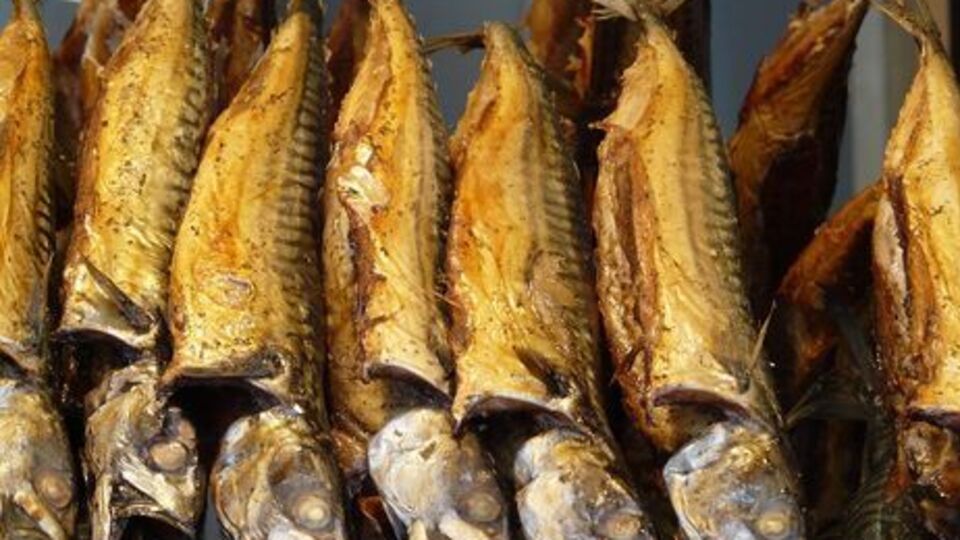 Загалом унаслідок отруєння рибою постраждала 71 людина