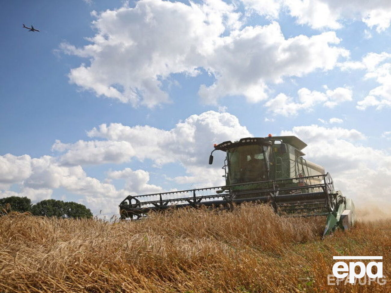 Россия может столкнуться с проблемами при сбыте рекордного урожая пшеницы