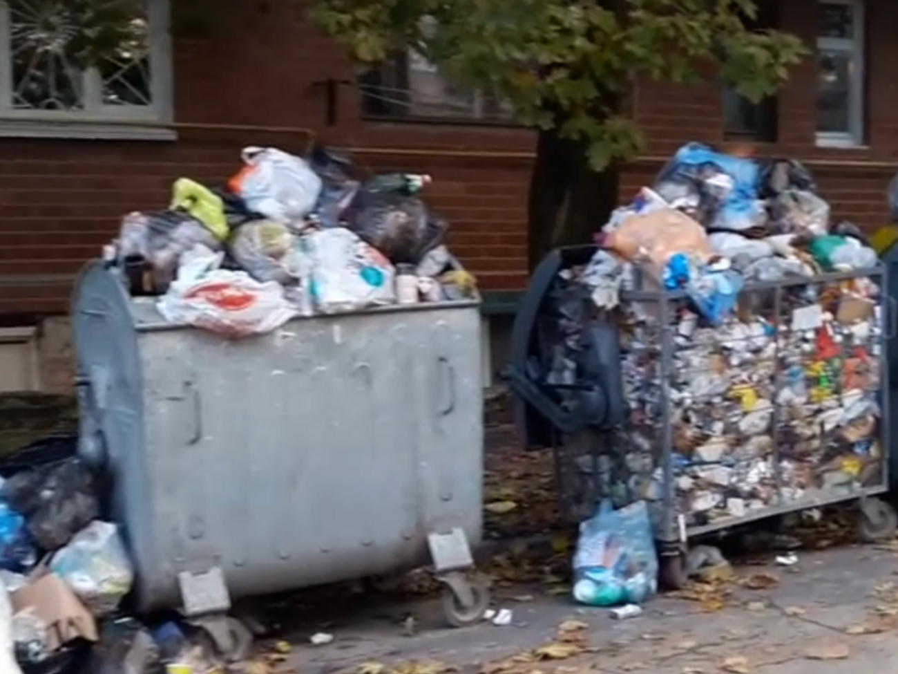 На видео засняли переполненные мусорники