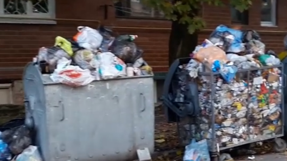На видео засняли переполненные мусорники