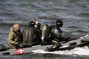 Водолазы нашли на дне моря пилу