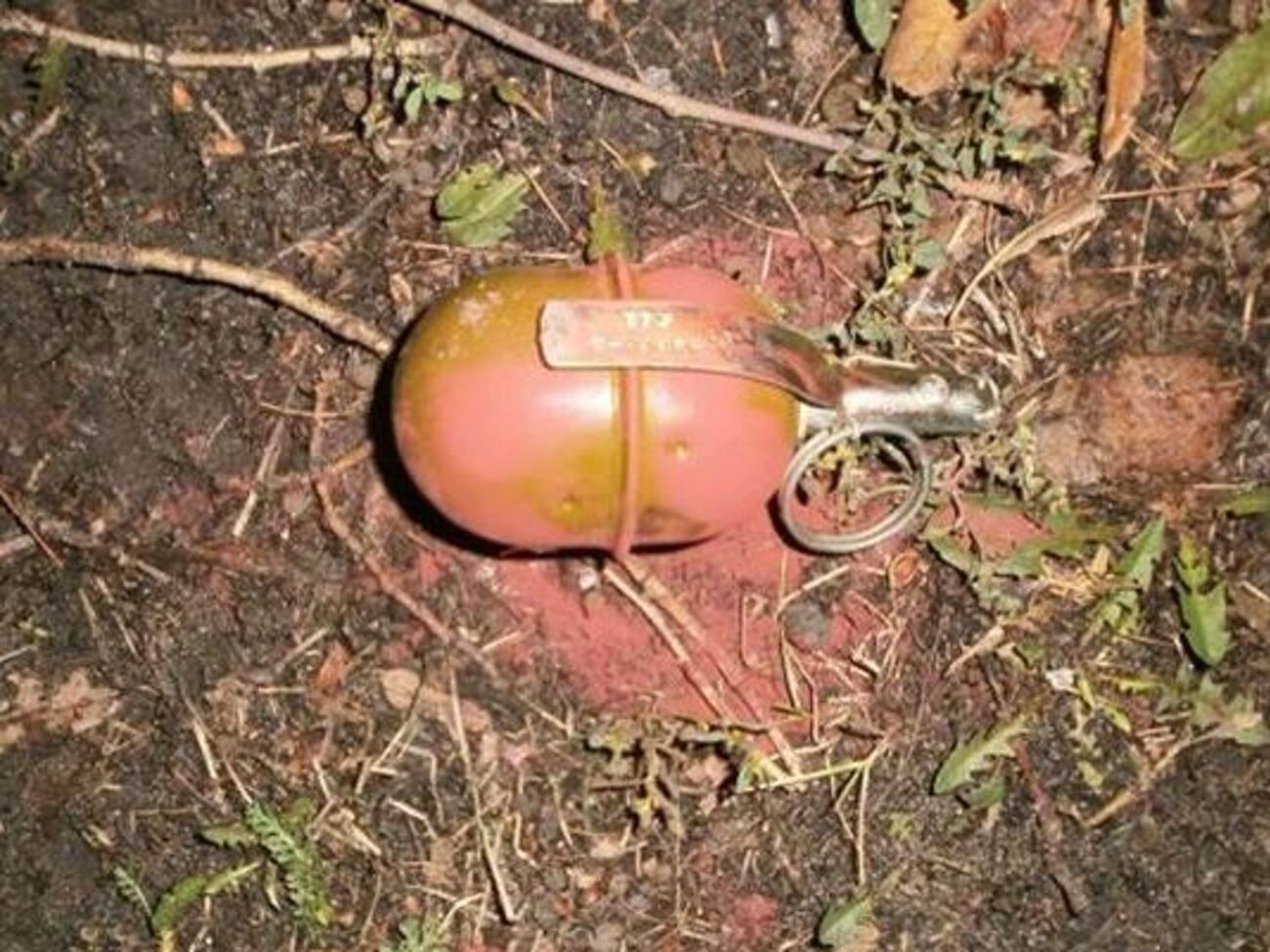 Мужчина выбросил гранату, увидев полицейских