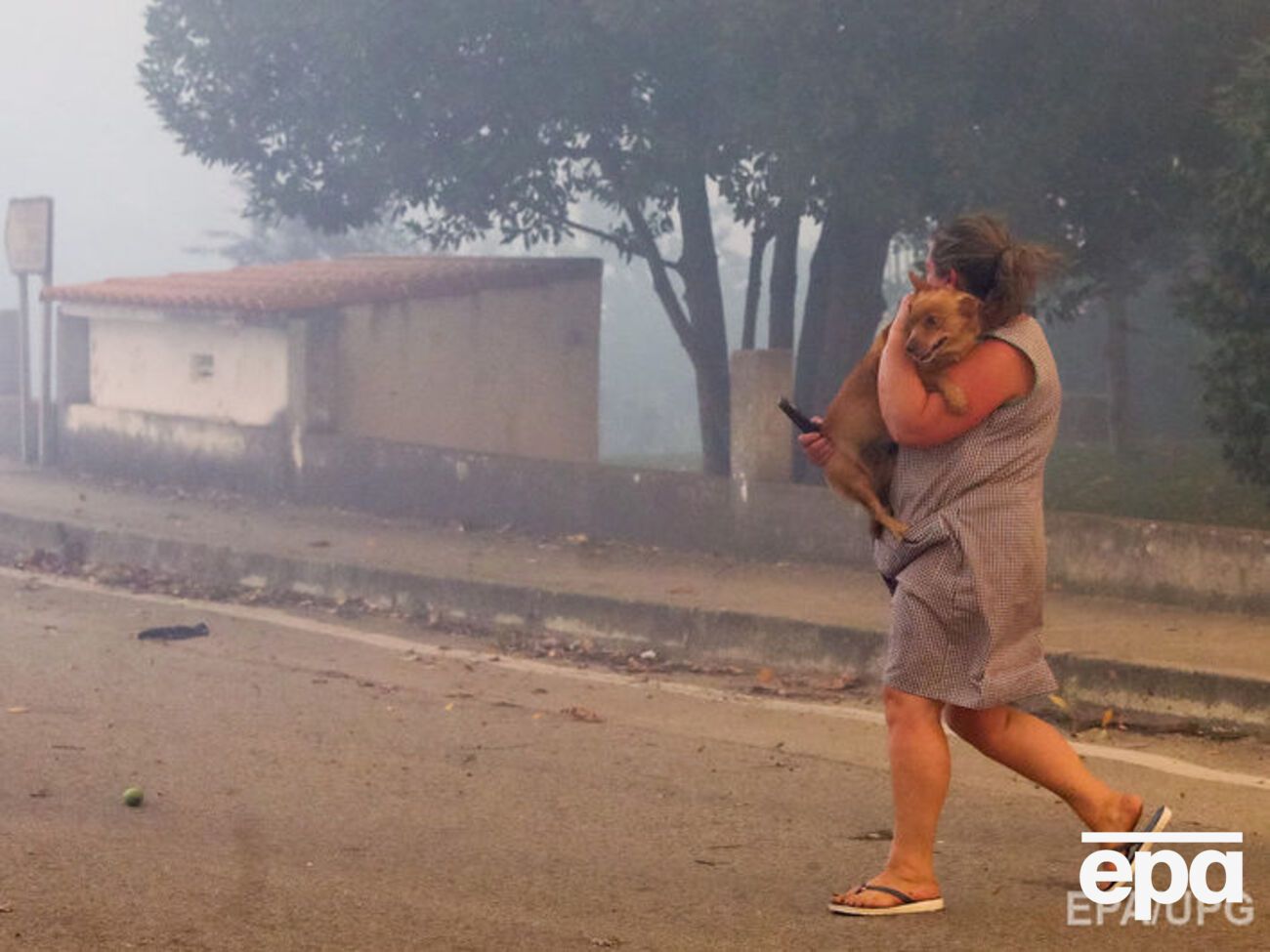 Из-за лесных пожаров в Португалии и Испании погибли более 30 человек. Фоторепортаж
