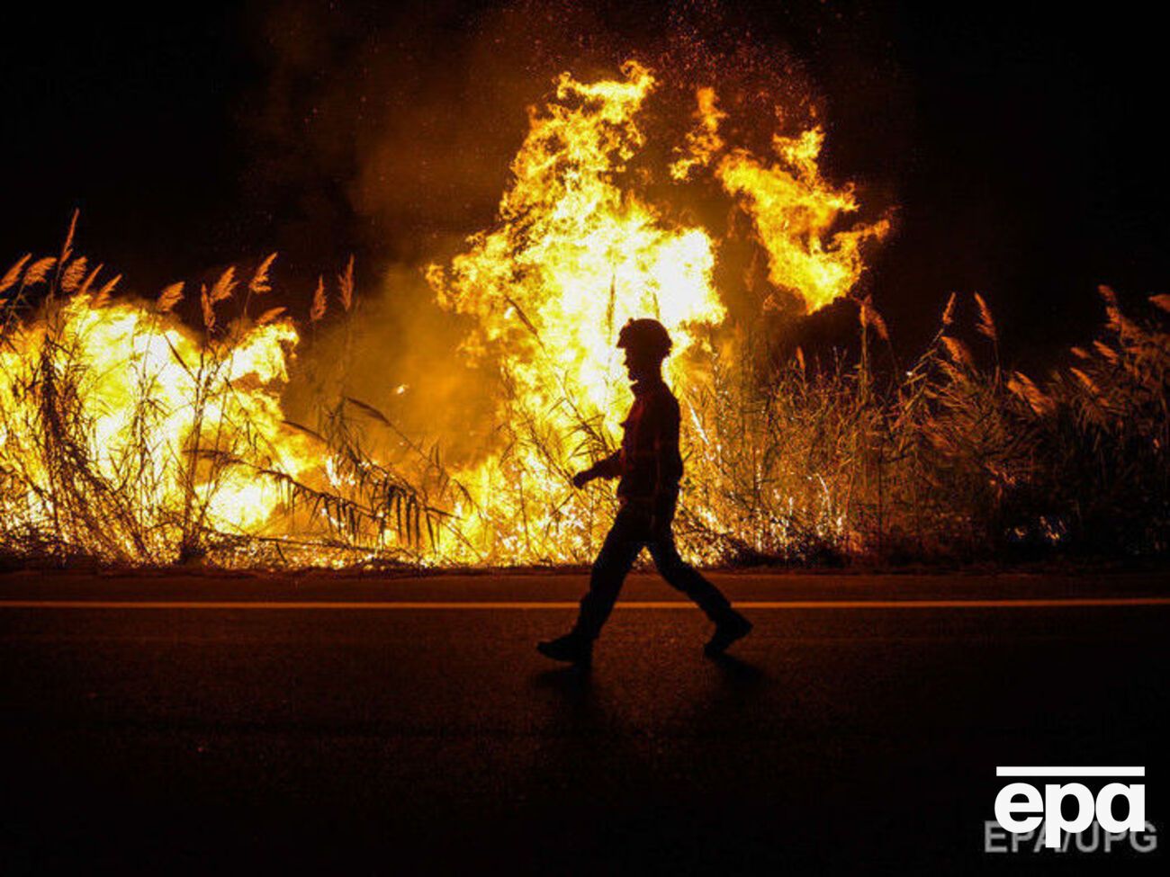 Лесные пожары в Португалии и Испании начались 14 октября