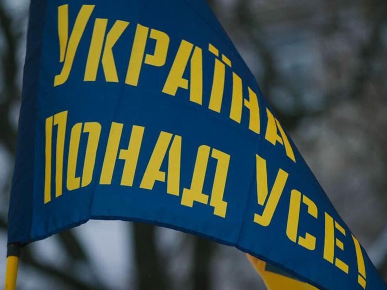 "Національний корпус" проти дій президента України Петра Порошенка і створеної ним системи