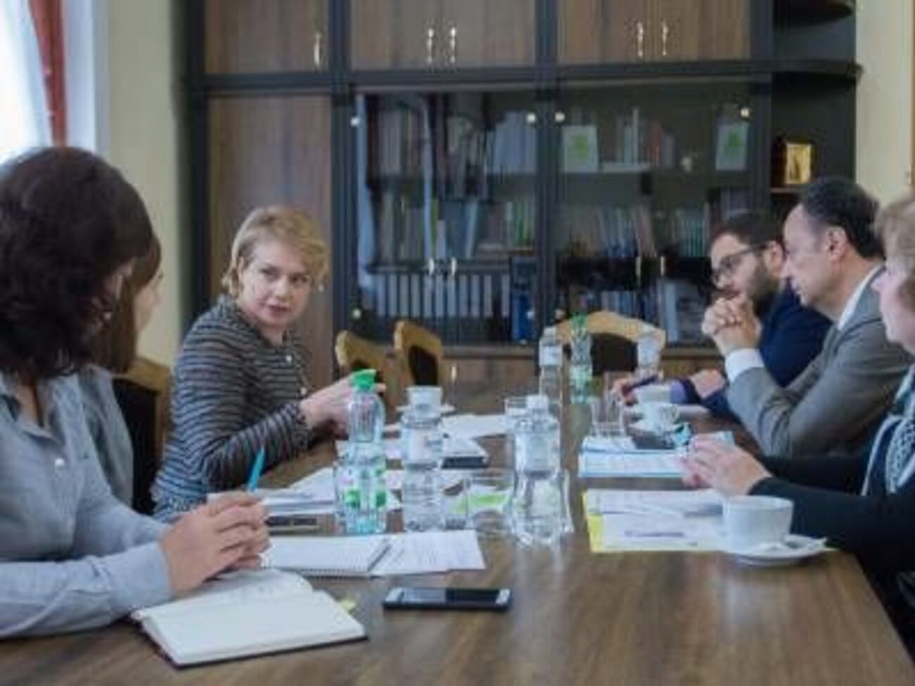 Гриневич провела зустріч із Мінгареллі