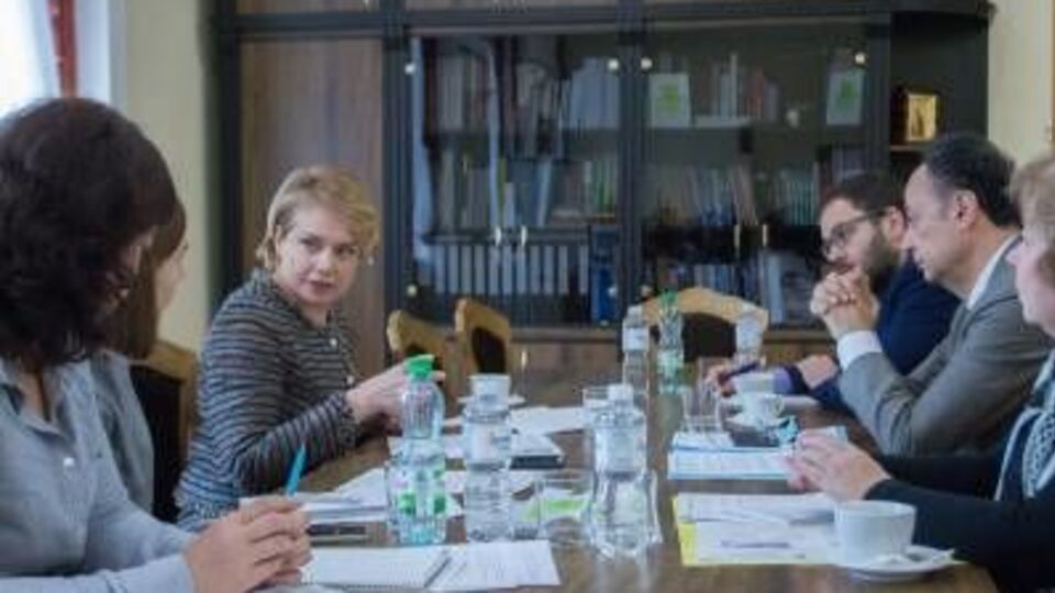 Гриневич провела зустріч із Мінгареллі