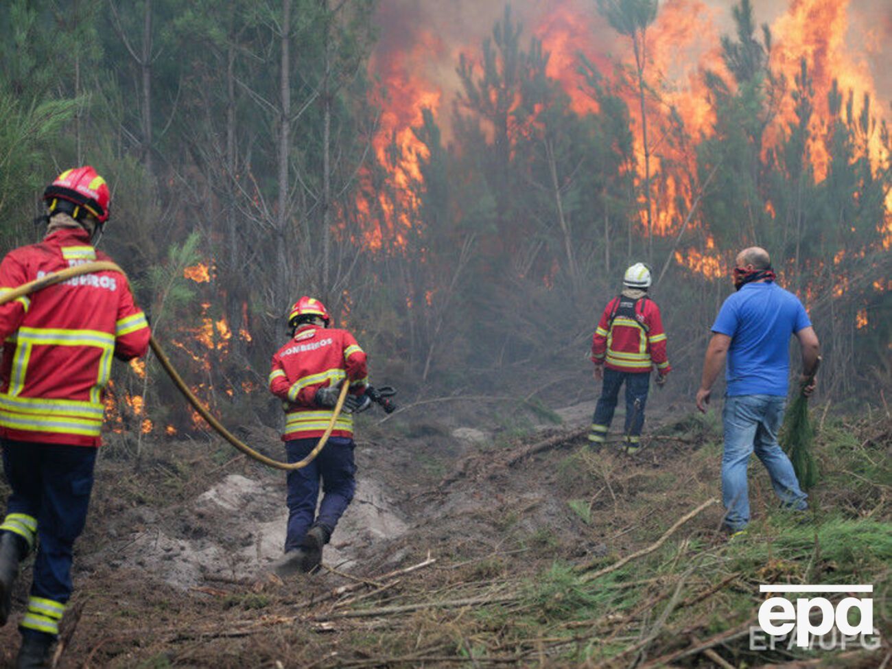 Лесные пожары продолжают гасить пятый день