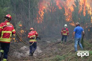 Лесные пожары продолжают гасить пятый день