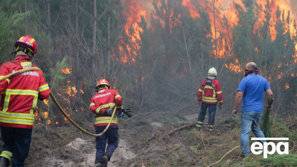 Лесные пожары продолжают гасить пятый день