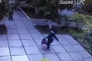 Викрадення зняли камери відеоспостереження