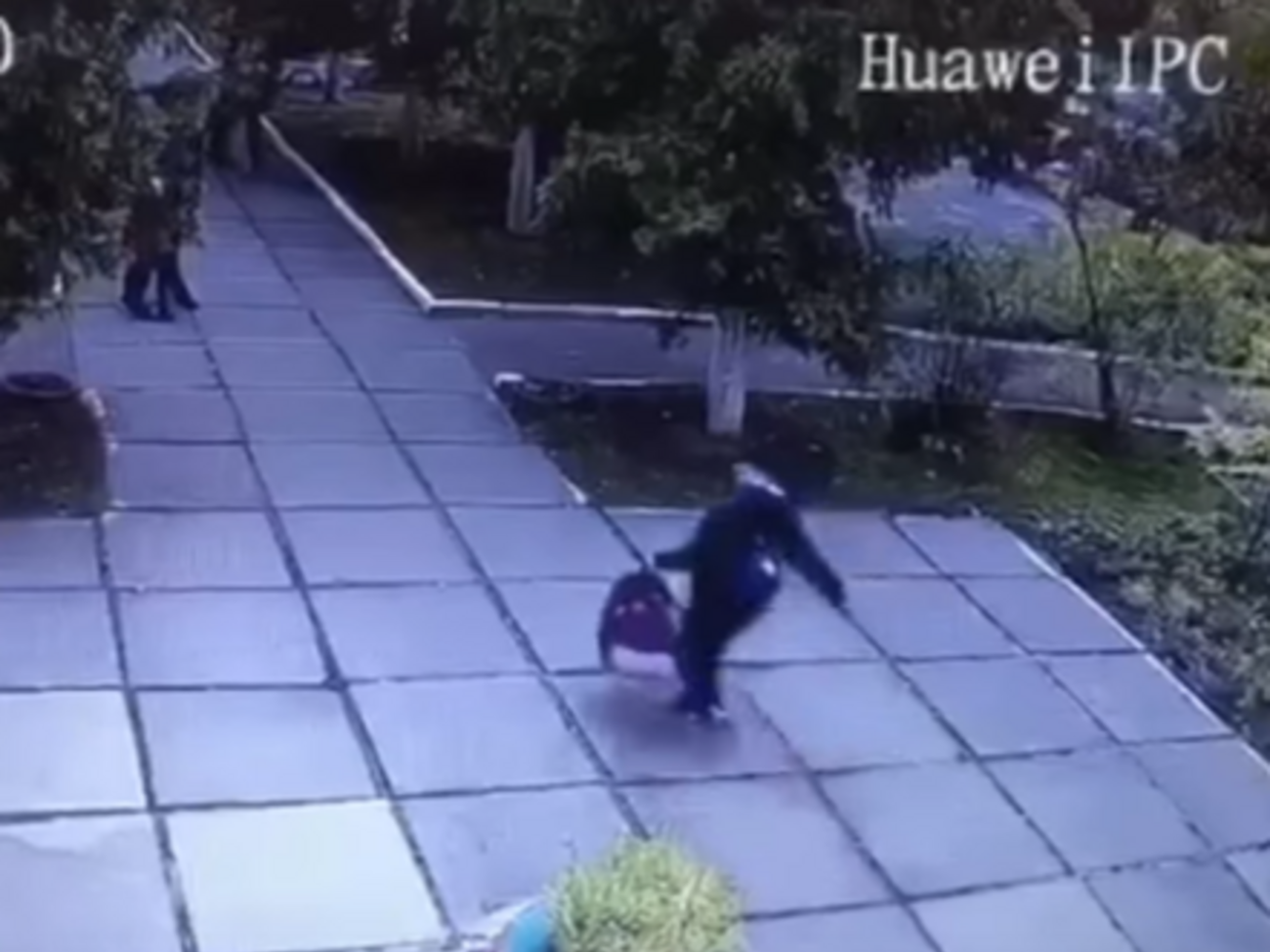 Задержать похитительницу младенца в Киеве удалось благодаря записи видеокамеры