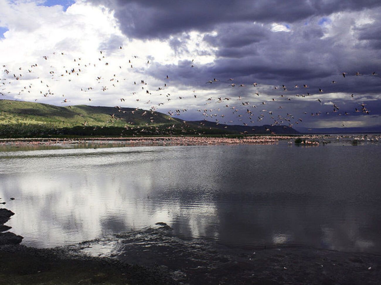 Вертолет упал в озеро Накуру