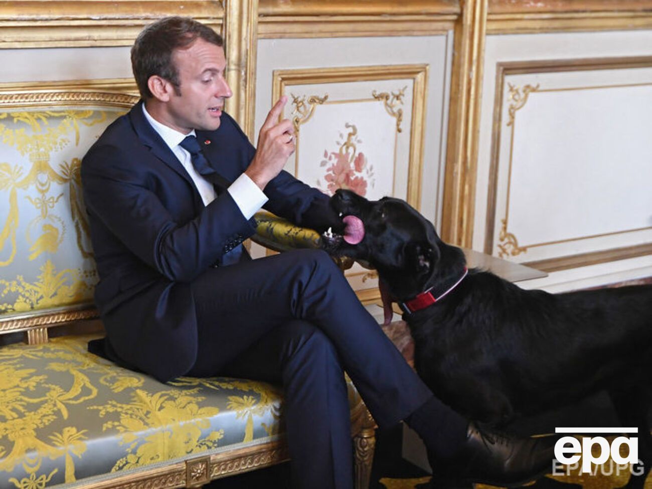 Макрон регулярно бере пса на робочі зустрічі