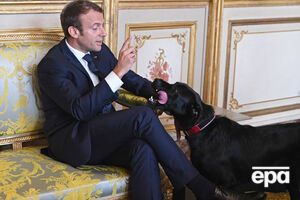 Макрон регулярно бере пса на робочі зустрічі