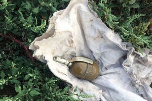 Чоловік, який намагався підпалити будинок Берези, був озброєний гранатою