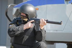 На місце події оперативно виїхала група спецпризначенців Росгвардії, яка застрелила винуватця інциденту