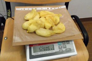 Польские пограничники изъяли кокаин из желудков украинцев