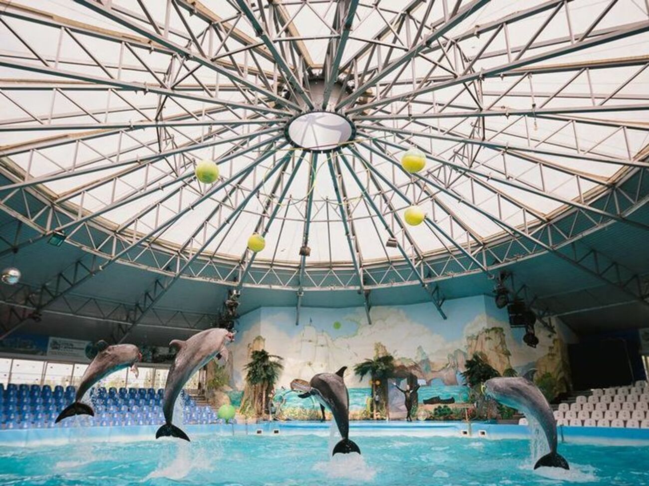 "Немо" извинился перед посетителями