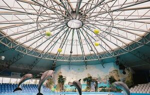 "Немо" извинился перед посетителями