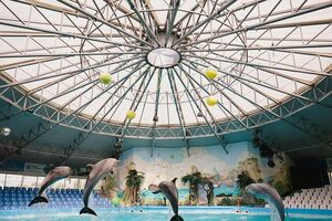 "Немо" попросив вибачення у відвідувачів