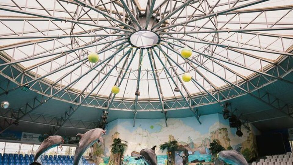 "Немо" попросив вибачення у відвідувачів