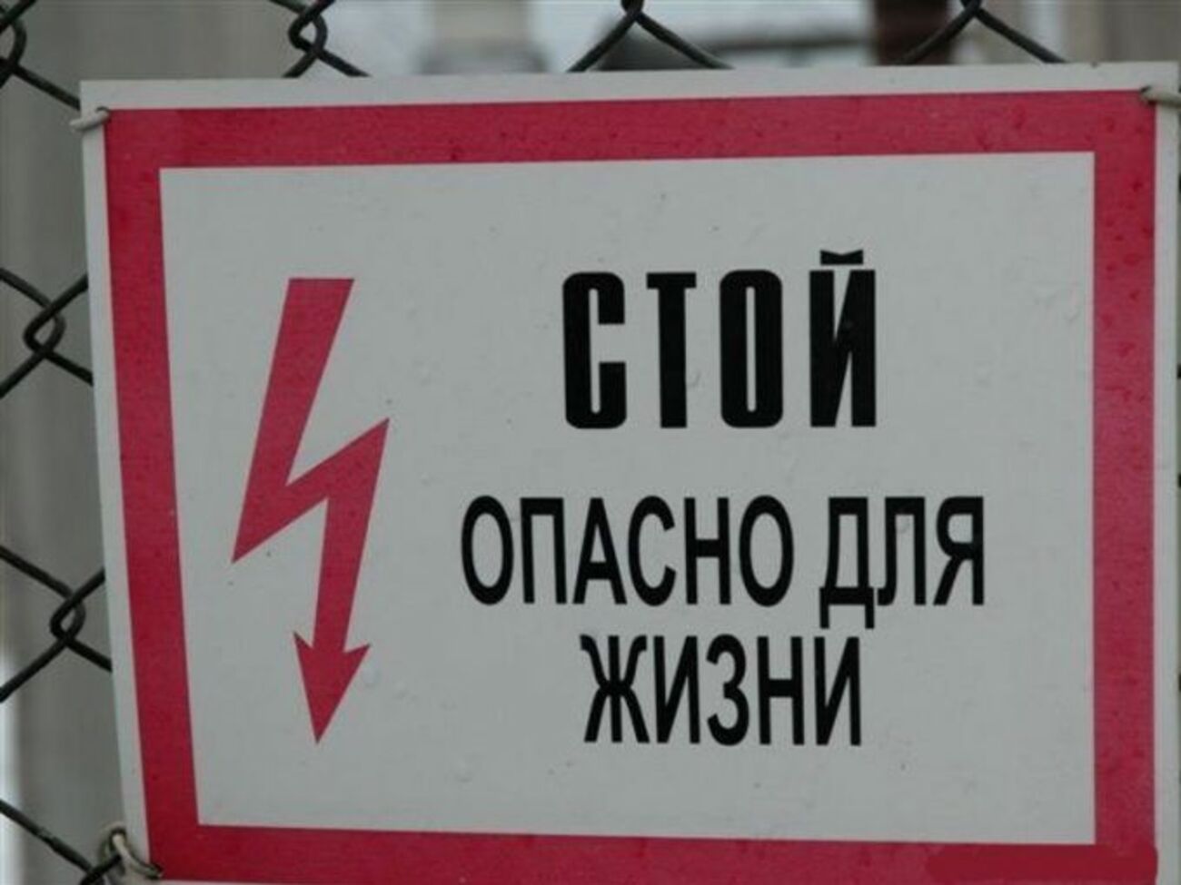 Сигнал о найденном погибшем подростке поступил в дежурную часть полиции накануне в 18.30