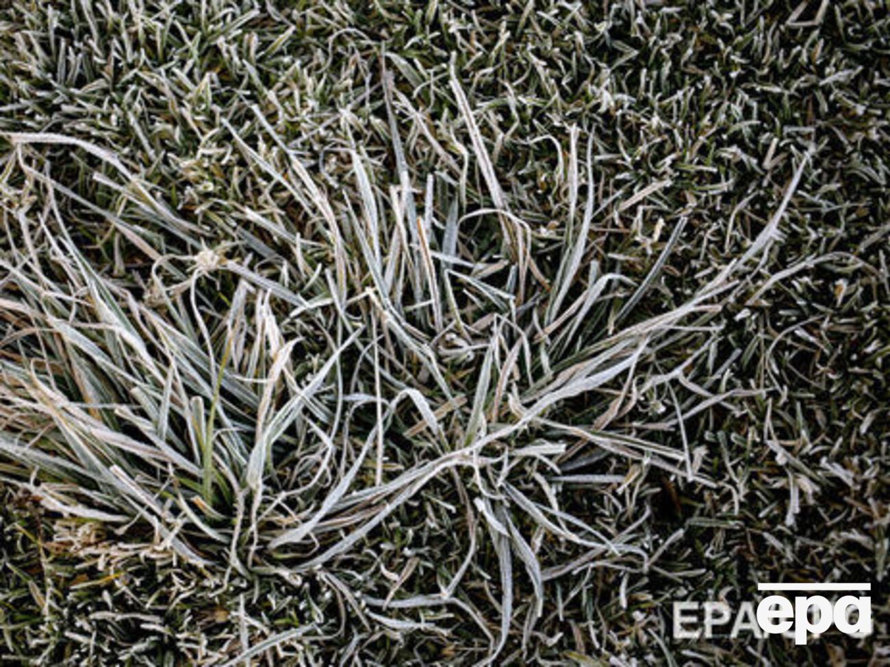 В Україну прийдуть заморозки