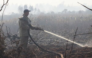 Екстрені служби не допустили розповсюдження вогню