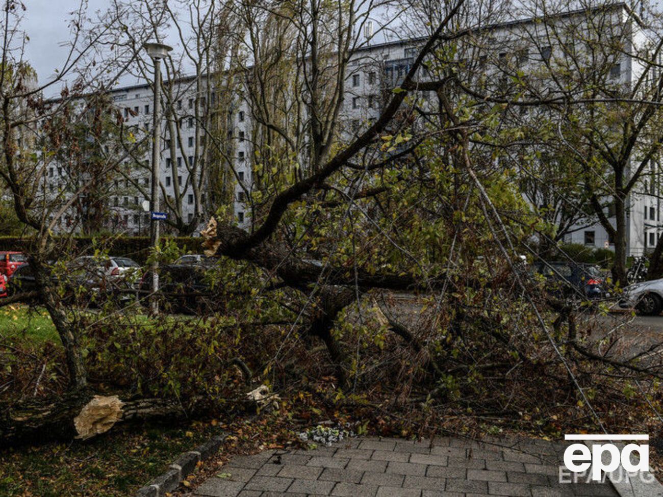 Жертвами стихии стали шесть человек