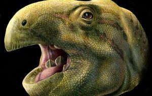 Ученые реконструировали череп рептилии