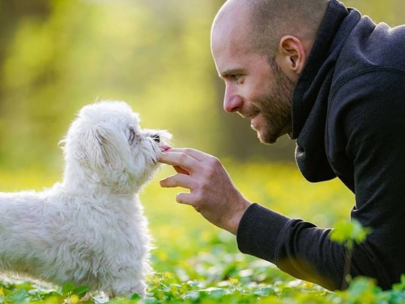 Клустер:&nbsp;Некоторые невесты не могут дождаться брачной ночи