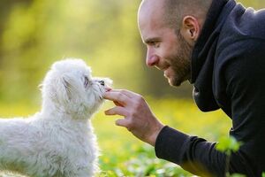 Клустер: Некоторые невесты не могут дождаться брачной ночи