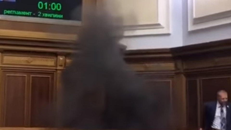 Димову шашку у Раді схопив нардеп Тетерук